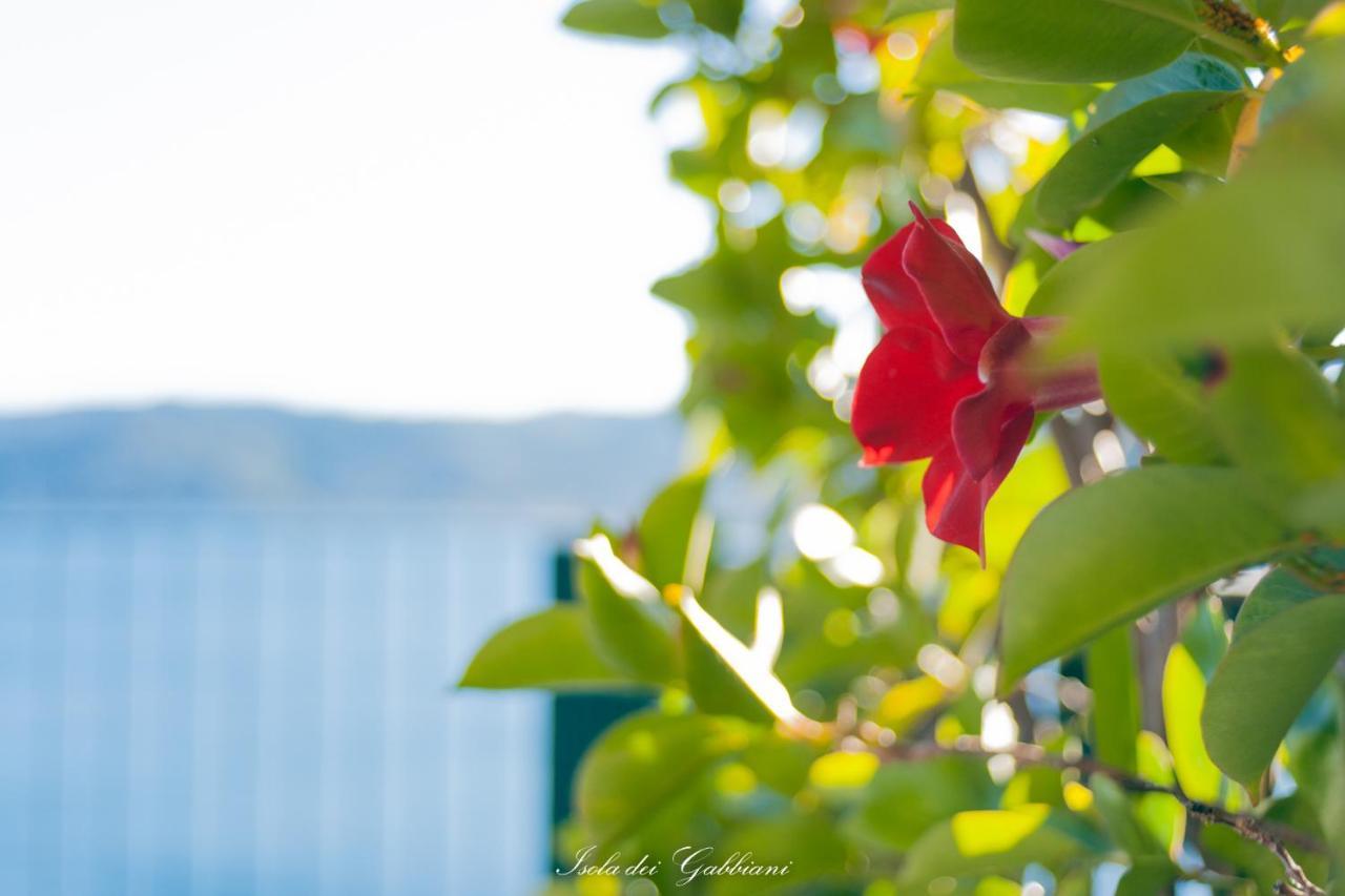 B&B Isola Dei Gabbiani Bergeggi Buitenkant foto